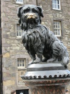 Die Gedenkstatue des treuen Bobby.