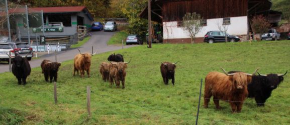 Zuerst die größten Gegner aus dem Weg geräumt ...,