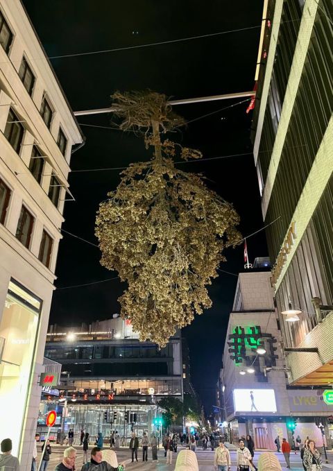 HP-SVH-Stockholm-20230923_20_30_38.jpg