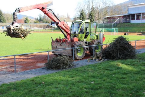 Welch Glück - der Forstbetrieb Josef Schnaitter fällte ebenfalls Bäume im Stadion und entsorgte das Schnittgut des SVH gleich mit
